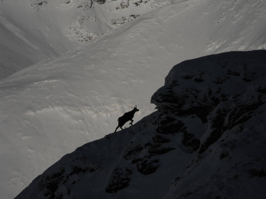Appartementhaus Angerer - Feriendomizile Pichler Heiligenblut Bagian luar foto